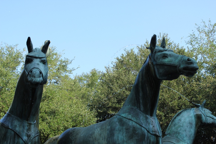 Gibbs Museum – Charleston, S.C.