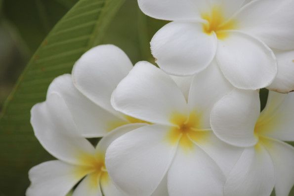 Smell those flowers and see the beauty in things around you. It may inspire some art!